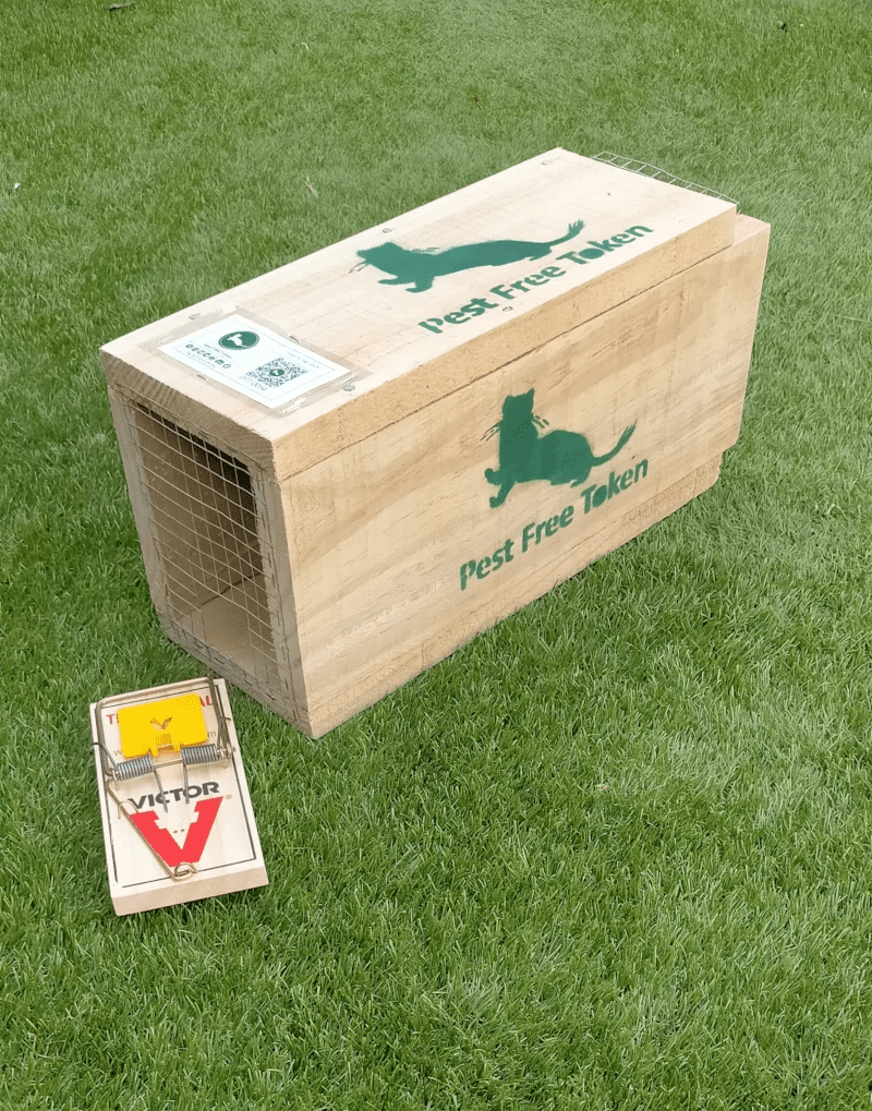 Pest Free Token trap box