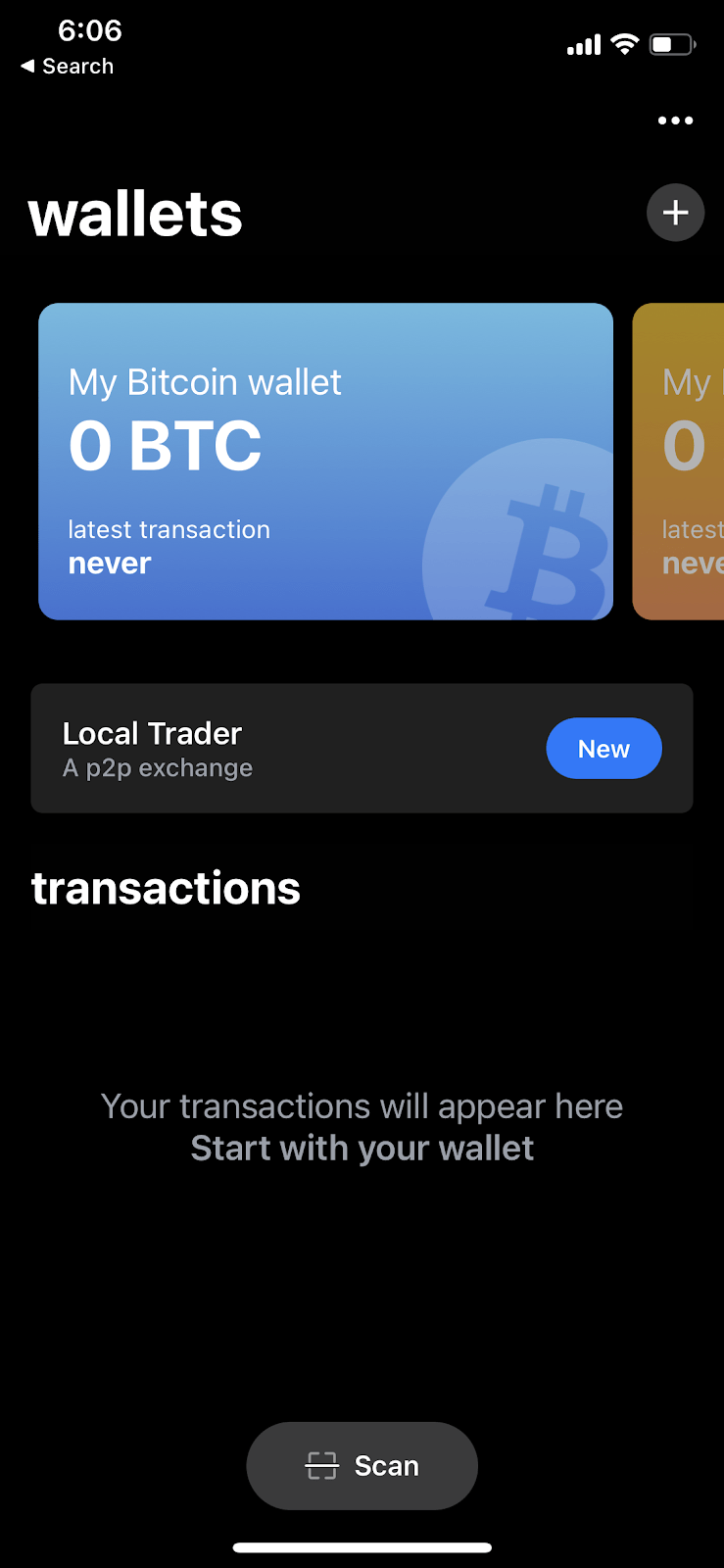 Screenshot of the BTC interface from Blue Wallet. 