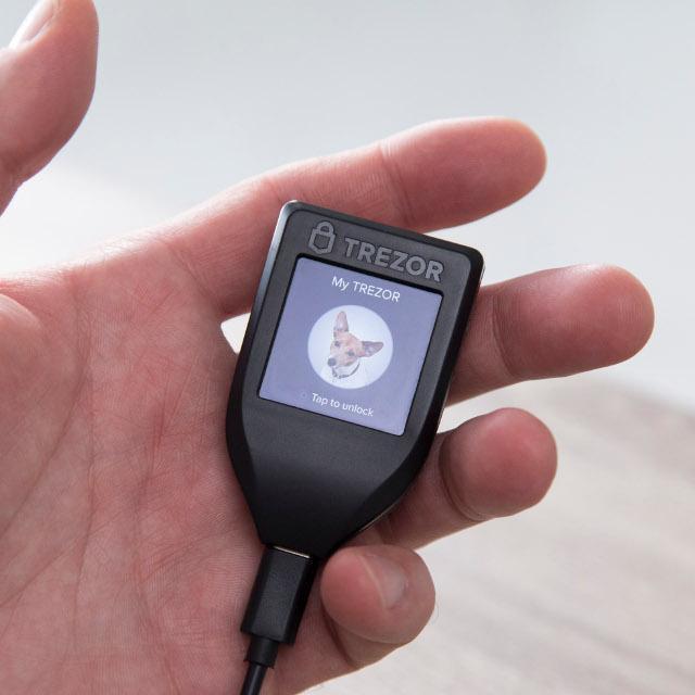 Photo of a Trezor Model T held in hand with a photo of a dog in the middle to showcase the larger screen.