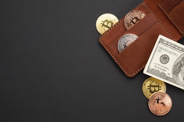 wallet-with-currency-flat-lay_23-2148285333 cryptocurrency and fiat wallet