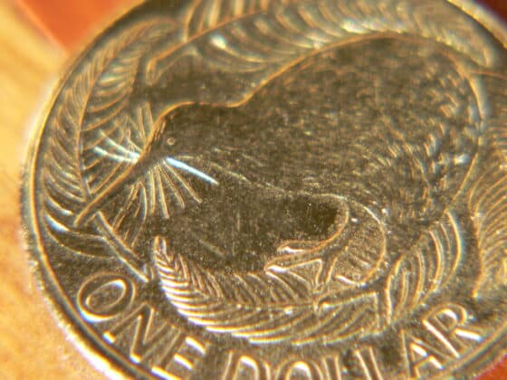 future.money.kiwi A New Zealand 1 dollar coin