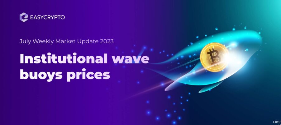 HVC Market Update Week 27 2023 HVC Market Update Week 27 2023