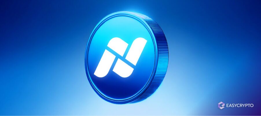 HUB - Is NZDD a legit crypto token_ HUB - Is NZDD a legit crypto token_