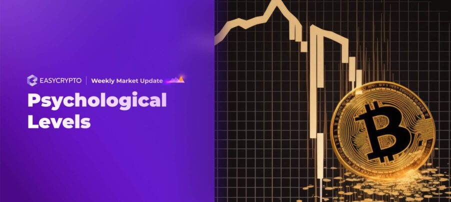 HVC weekly update week 48 HVC weekly update week 48