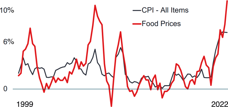 CPI vs Food prices chart from 1999 to 2022