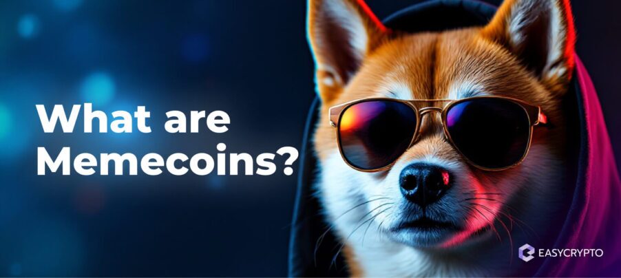 HUB - What are Memecoins_ Coins made for fun and specula