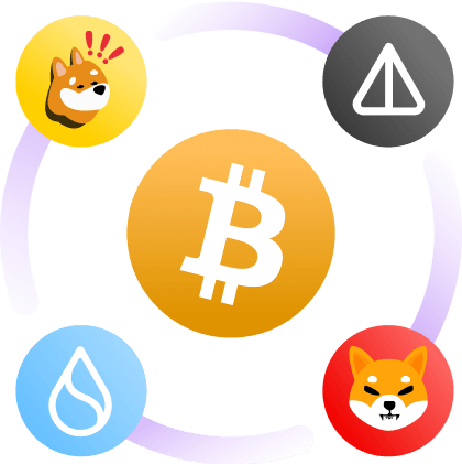 What is crypto