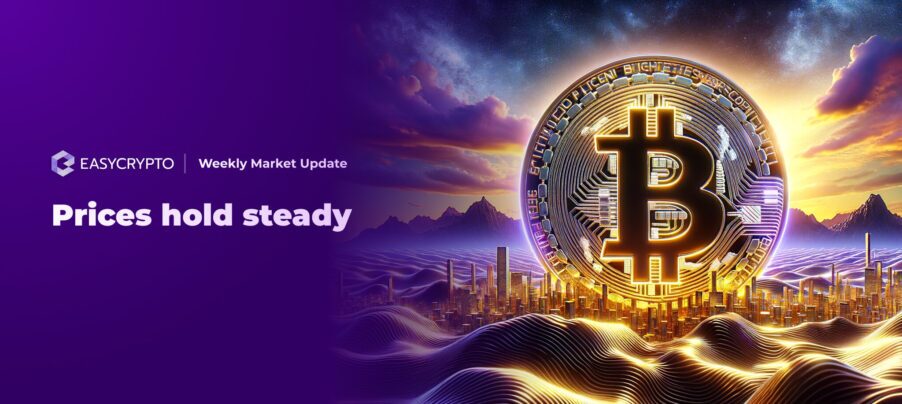 W14 HVC Market update cover