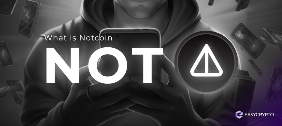 What is Notcoin (NOT) blog cover