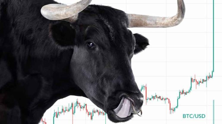 is-the-bull-of-the-cryptocurrency-back is the bull back