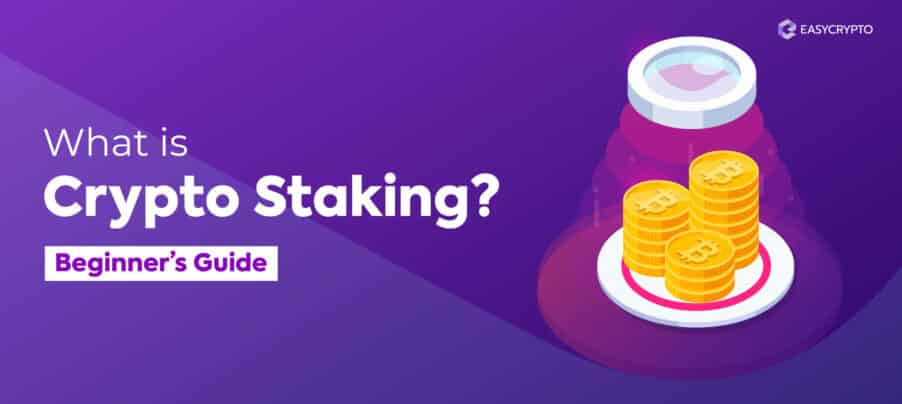 Blog cover illustration to depict the topic of what is crypto staking Blog cover illustration to depict the topic of what is crypto staking