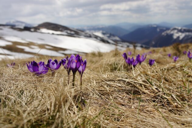 cryptoSummer.spring cryptoSummer.spring