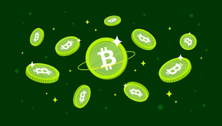 Ilustration of Bitcoin Cash BCH crypto tokens floating Ilustration of Bitcoin Cash BCH crypto tokens floating