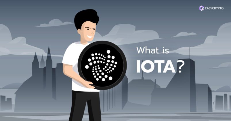 Illustration of a guy holding the IOTA logo Illustration of a guy holding the IOTA logo