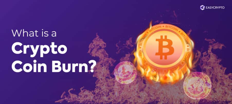 Blog cover illustration of what is a crypto coin burn Blog cover illustration of what is a crypto coin burn