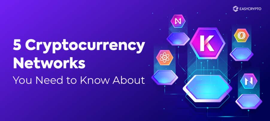 Blog cover illustration for crypto networks Blog cover illustration for crypto networks