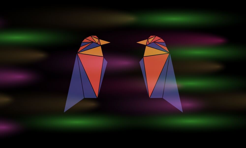 2 Ravencoin (RVN) coin logos facing each other