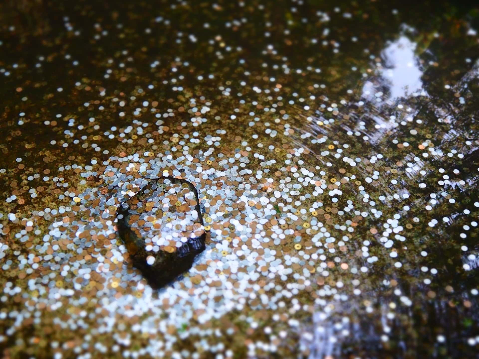 A pool of coins representing asset liquidity.