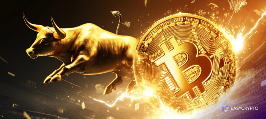 HUB - Crypto Bull Runs, explained HUB - Crypto Bull Runs, explained