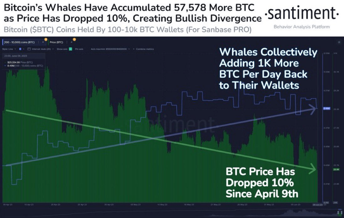 Chart showcasing Bitcoin Whales from Santiment.
