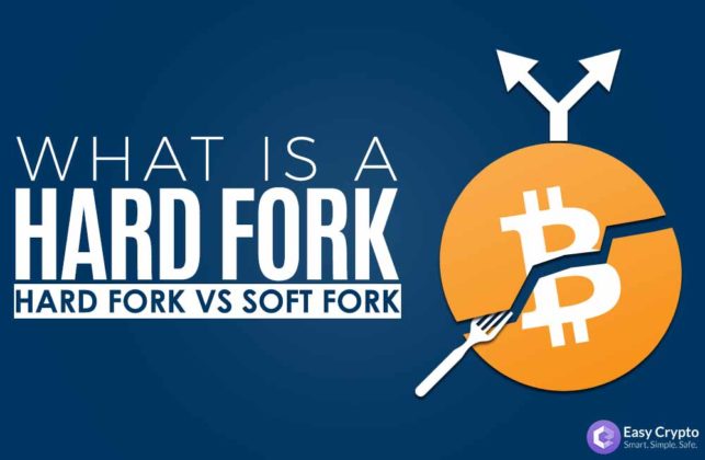 What-is-a-hard-fork-vs-soft-fork-preview-image-with-easy-crypto-NZ-logo What is a hard fork vs soft fork preview image with easy crypto NZ logo