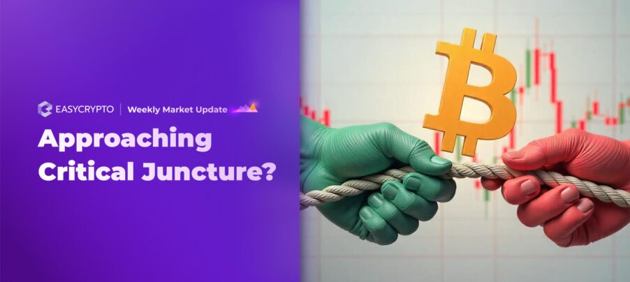 Easy Crypto Weekly Market Update Week 12 March 2025 Easy Crypto Weekly Market Update Week 12 March 2025