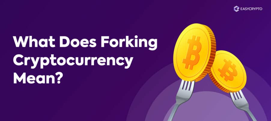 Blog cover for forking cryptocurrency Blog cover for forking cryptocurrency
